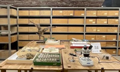 Domenica 3 marzo parte la visita guidata ai “Depositi aperti” del Museo Eusebio di Alba