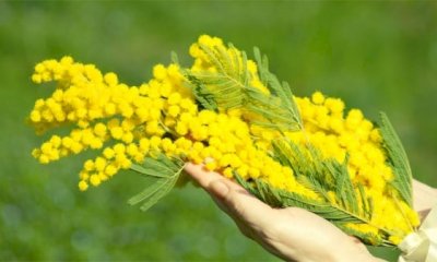 Cuneo, al via la rassegna 8 marzo è tutto l'anno