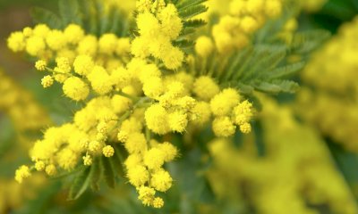 Si apre a Bra “Marzo Donna”