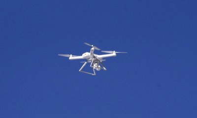 Volavano con un drone nella zona di involo del gipeto in alta valle Maira, multati
