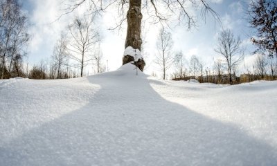 Maltempo, stasera nel Cuneese quota neve in calo fino a 900 metri