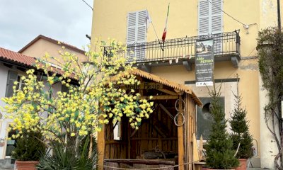 Chiusa Pesio: un albero di fiocchi in vista dell'8 marzo