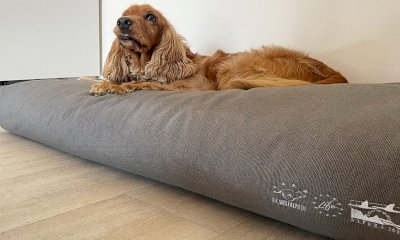 Un cuscino per sostenere la pastorizia