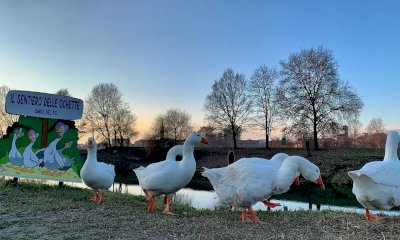 Una camminata tra le ochette e una visita alla scoperta dei pesci… d’aprile