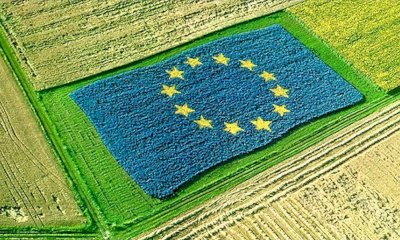 Per l’agricoltura piemontese in arrivo la proroga degli aiuti di Stato