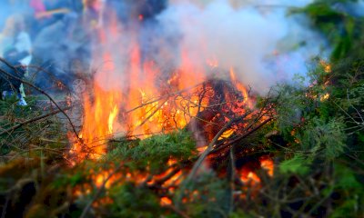 Nessun colpevole per l’incendio nei boschi di Madonna Bruna