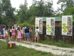 Alla scoperta del minimondo