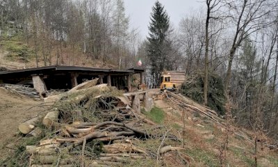 Area disboscata sulla collina di Boves, un lettore: 