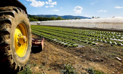 Dalla Regione nuove misure di sostegno per le aziende agroalimentari piemontesi