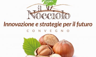“Il nocciolo. Innovazione e strategie per il futuro”. A Cherasco il convegno di Confagricoltura Cuneo