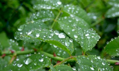 Si alzano le temperature dopo il grande freddo, ma ci aspettano altre piogge