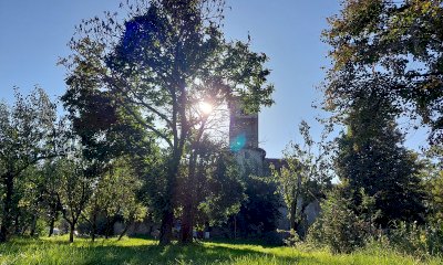 Un frutteto di comunità con 250 piante al monastero di San Biagio