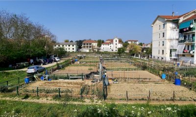Alba: pubblicato il bando per la concessione di ventuno orti urbani in strada Occhetti