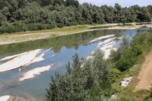 Alba: consigli per non sprecare acqua potabile