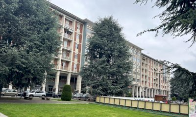 Metà in piedi, metà abbattuti. Una soluzione “salomonica” per i cedri di piazza Europa?