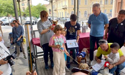 Nen mac tabui, torna la sfilata dedicata a tutti i cani