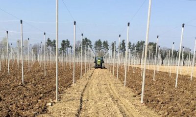 Corrado Enzo & Gianpaolo Snc, lavorazioni agricole conto terzi da oltre sessant'anni