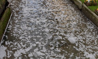 Schiuma bianca in una bealera a Scarnafigi, controlli dell'Arpa