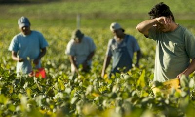 Stagionali della frutta, apre il bando per la sistemazione temporanea in strutture abitative