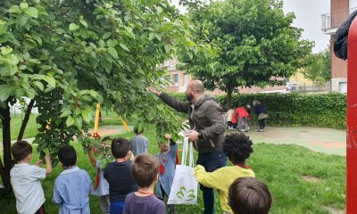 Alba, le scuole dell’infanzia danno il via alla collocazione di coccinelle per la difesa di alberi e piante