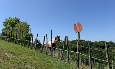 La Collina degli Elfi ha sostenuto più di 40 famiglie da tutta Italia nel 2023