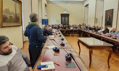 Piazza Europa, i dubbi di Lauria sull’agronomo Zauli: “Gli alberi sono davvero a rischio?”