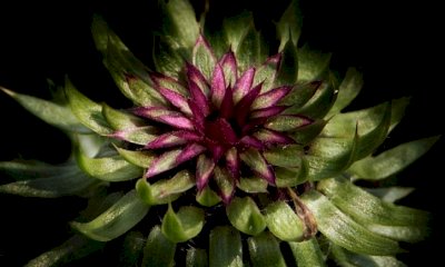 Ad Entracque la mostra fotografica “Ritratti di natura” di Valter Ballario