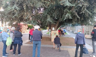 I cedri di piazza Europa “parlano” (e sbarcano su Instagram) (GALLERIA)