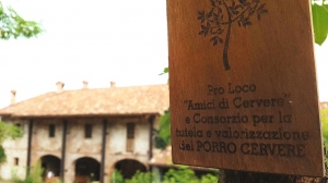 A Piozzo la collaborazione Cervere-Birra Baladin mette solide radici all'ombra di un albero