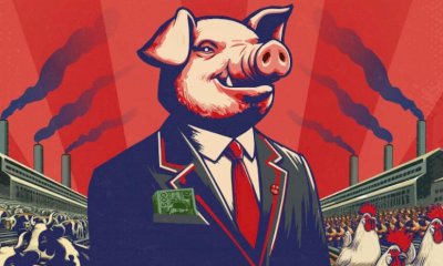 Dronero, al cine-teatro Iris il documentario 