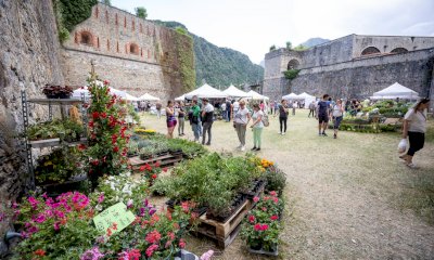 Nel weekend profumi di primavera e momenti culturali a Vinadio per la quarta edizione di “Forte in fiore”