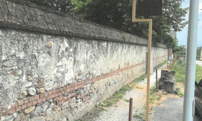 Cinque alberi abbattuti a Spinetta, Lauria: 