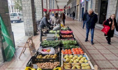 Giovedì 20 giugno in corso Giolitti il mercato contadino Giobia ospita il Polo Punto Meet