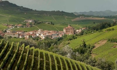 La prima decade da Sito Unesco dei Paesaggi Vitivinicoli del Piemonte: Langhe-Roero e Monferrato