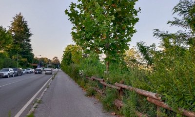 Come sta il verde pubblico a Cuneo? 