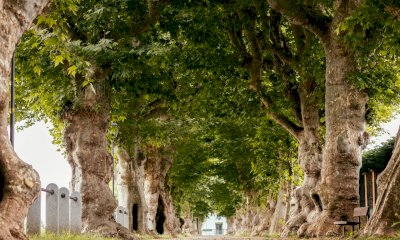 A Cherasco il walking tour 