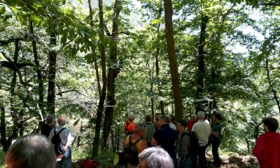 Ottimo successo della Festa della Fioritura dei Castagni a Moiola 