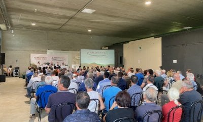 Oltre trecento partecipanti all'assemblea di Ascopiemonte