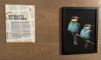 Entracque, prorogata la mostra 