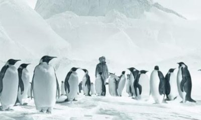 Al Cinema Monviso il “Viaggio al Polo Sud” di Luc Jacquet