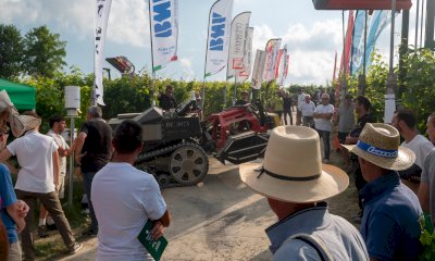 Oltre 500 partecipanti alla decima edizione delle prove in vigneto di Confagricoltura