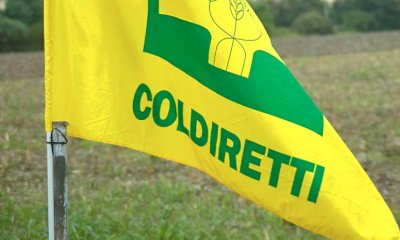 Pratiche sleali, Coldiretti Cuneo: 