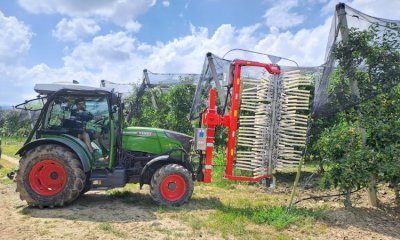 Dirado meccanico su frutti: un esempio che funziona