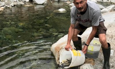 Al via la terza semina di trote per il ripopolamento del torrente Varaita 