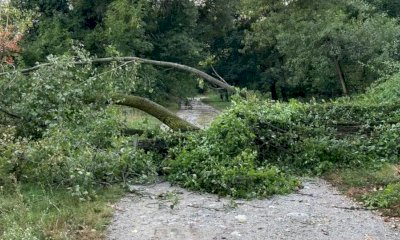 Interrotti dalla caduta di alberi alcuni percorsi del Parco Fluviale