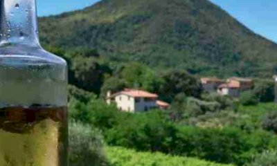 A Vinadio un laboratorio sui liquori di montagna