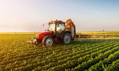 Nostalgia degli anni '90? Tutto sembrava più facile, soprattutto in agricoltura