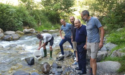 Vernante, reinserimento di trote nel torrente Val Granda