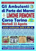 Mercato di Forte dei Marmi a Limone Piemonte