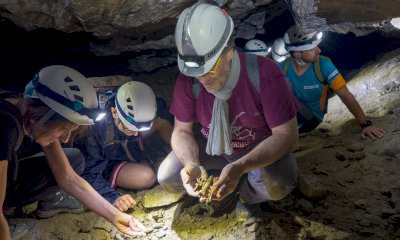 Storie di uomini e di orsi alle Grotte del Bandito